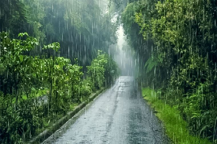 Lluvia en la selva peruana
